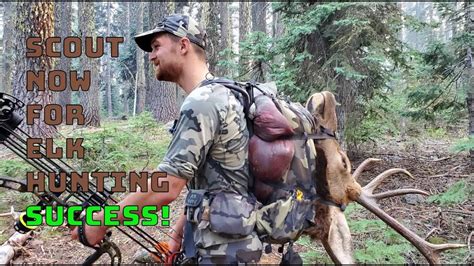Learn How To Hunt Public Land Elk With A Bow Ep 4 Boots On The Ground