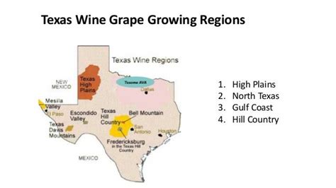 Winegrape Growing In Texas Andrew Labay