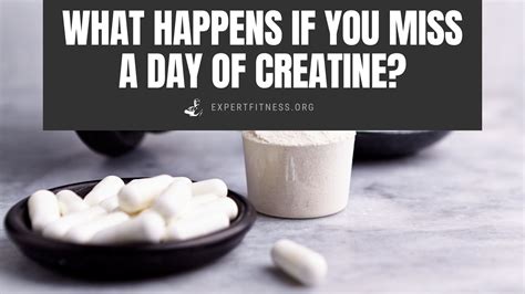 What Happens If You Miss A Day Of Creatine Expert Fitness