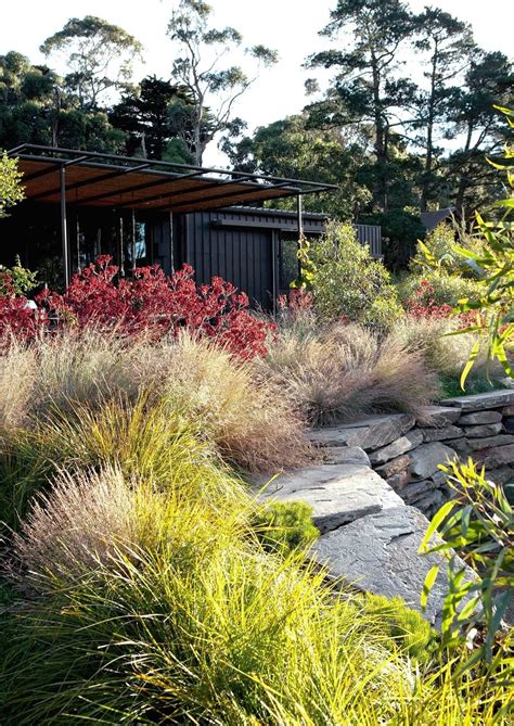 11 Native Australian Garden Design Ideas To Inspire 1000 In 2020