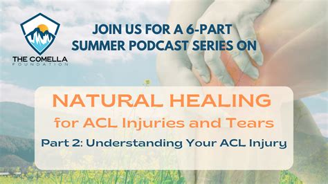 Natural Healing For Acl Injuries And Tears Part 2 Of 6 Understanding