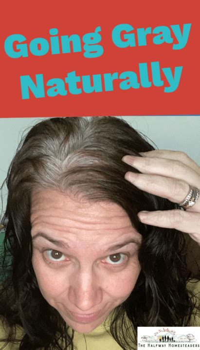 Going Gray Naturally For Dark Hair In Going Gray Basic Skin Care Routine Transition To