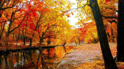 Hd Wallpaper Autumn Fall Landscape Nature Tree Forest Leaf Lake