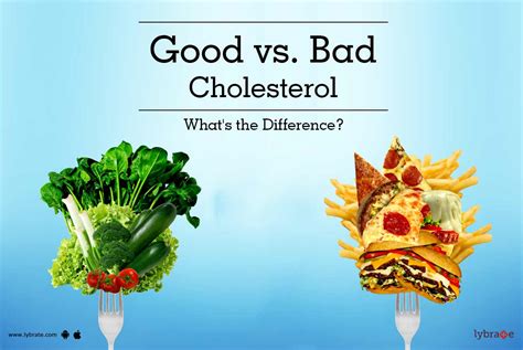 Good Vs Bad Cholesterol Whats The Difference By Dr Parimal Swamy