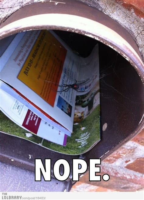 Nope No Mail Checking Today Funny Pictures Just For Laughs Haha Funny