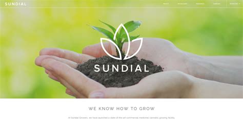 (nasdaq:sndl) shares could be 47% below their intrinsic value estimate. Sundial Growers - MMJPR