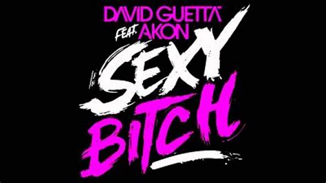 David Guetta Feat Akon Sexy Bitch Audio Youtube