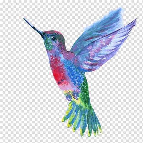 Hummingbird Clipart Pink Pictures On Cliparts Pub 2020 🔝