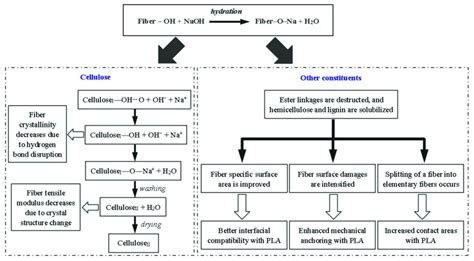 Reaction Mechanism Of Alkali Treatment Download Scientific Diagram