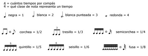 Nombres Y Valores De Las Notas Musicales Reverasite