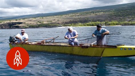 Fishing And Eating Like Ancient Hawaiians Youtube