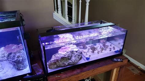It's time to build my own custom diy frag aquarium tank for coral. Frag Tank Build 6 - YouTube