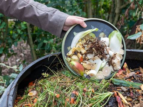 Proper Compost Mixes What Is Brown Material For Compost And What Is