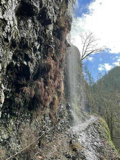 Photos Of Eagle Creek To Punchbowl Falls Closed Oregon Alltrails