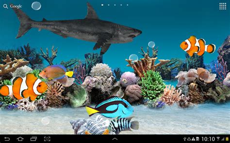48 3d Live Aquarium Wallpapers Wallpapersafari