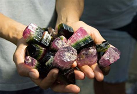 Gia Team Uncovers Gemstone Treasures In Brazil