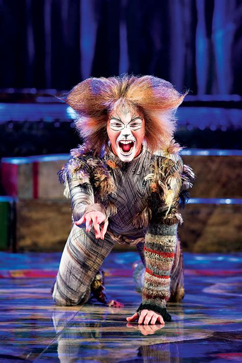 Check out our cats musical costume selection for the very best in unique or custom, handmade pieces from our clothing shops. CATS the musical! - Ed Unloaded.com | Parenting, Lifestyle ...