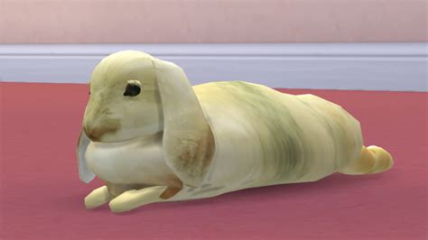 Animals Converted To Ts4 Deco Sims 4 Studio
