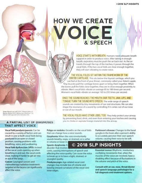 Handout How We Create Voice And Speech Slp Insights Voice Therapy