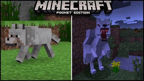 The Werewolves For Minecraft Pocket Edition