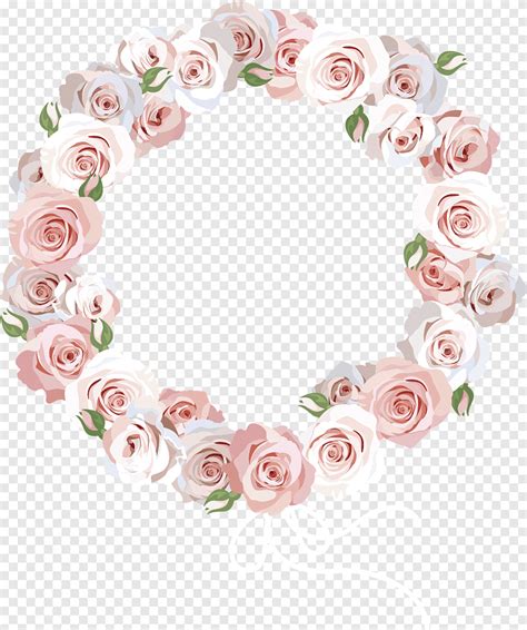 Free Download Flower Circle Euclidean Illustration Rose Border Pink