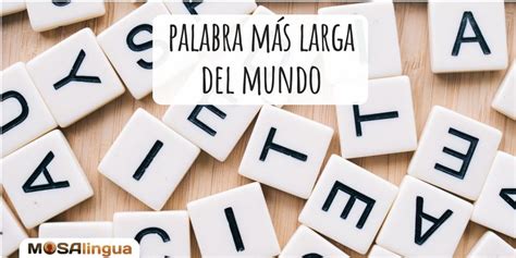 La Palabra Más Larga Del Mundo Mosalingua