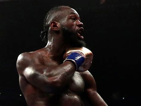 Deontay Wilder The Independent The Independent