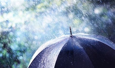 Coquitlam weather forecast: up to 100 millmetres of rain by Sunday - Tri-City News
