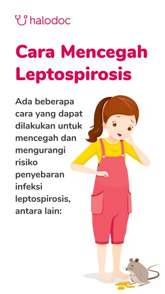 Ini Cara Penularan Leptospirosis Yang Perlu Diwaspadai