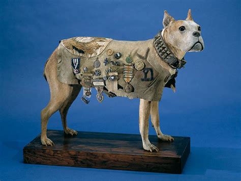 For example, the messenger dogs had received and sent. How did animals (even slugs) serve in World War I ...
