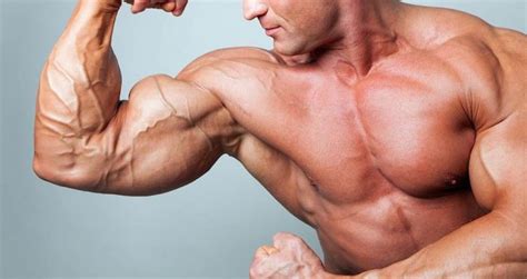 10 Best Biceps In The History Of Bodybuilding Generation Iron