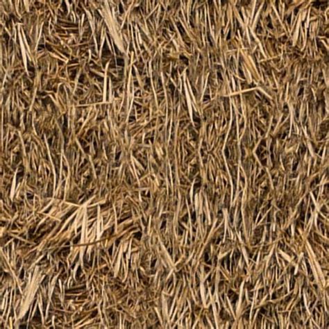 Thatched Roof Texture Seamless 04055