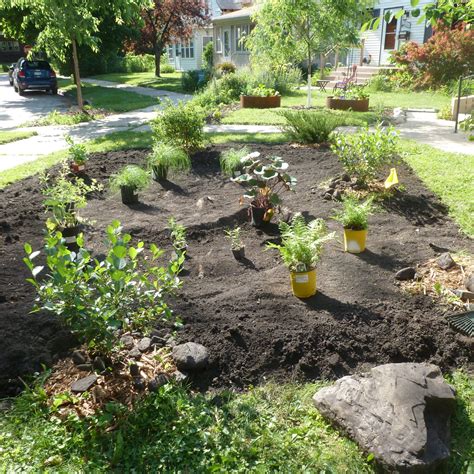 A Lawns To Legumes Story A Pollinator Project That Soaks In Rainwater