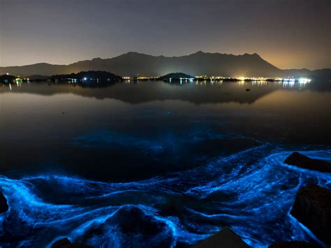 These Beaches Glow Neon Blue In The Middle Of The Night — Heres Why