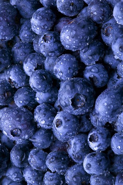 Blueberry Wallpapers Wallpaper Cave
