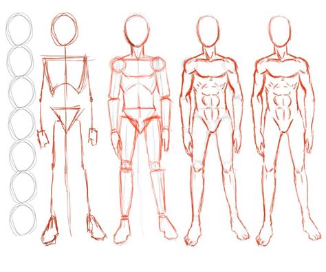 Construction Of Male Figure By SeanDee On DeviantArt Male Body Drawing Human Body Drawing