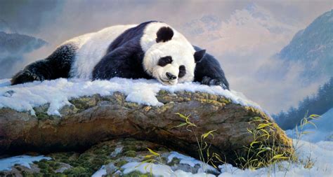 Panda 4k Ultra Hd Wallpaper Background Image 4139x2209 Id1035549