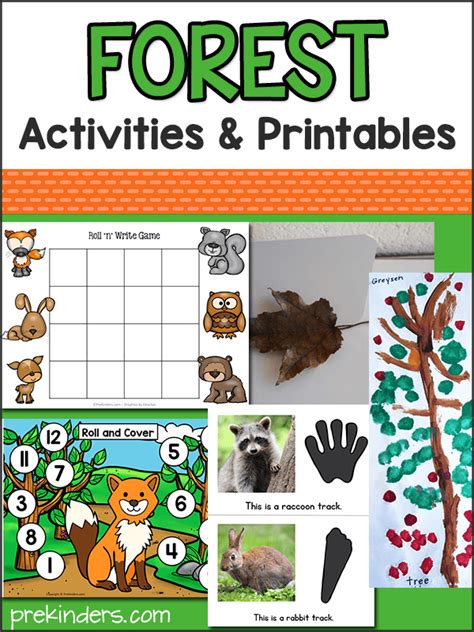 Forest Theme Activities For Pre K And Preschool Kids