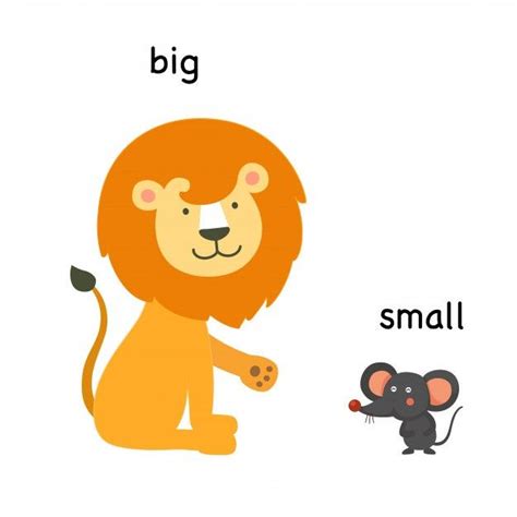 Opposite Big And Small Vector Illustration Alphabet Kindergarten Big