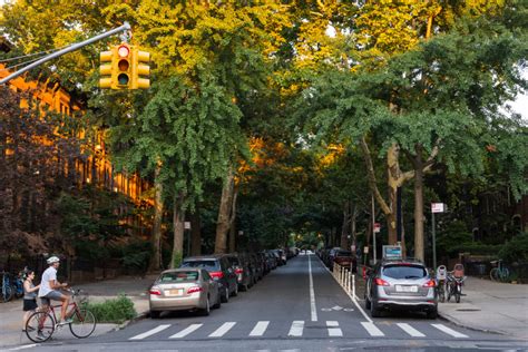 Investing In Americas Urban Forests Us Nature4climate