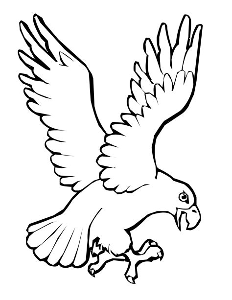 Free Printable Coloring Pages Of Birds