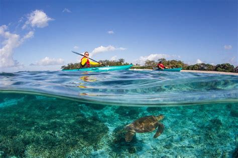 Discover New Parts Of The Great Barrier Reef On Lady Elliot Island Eco
