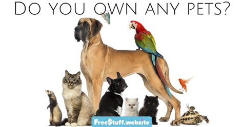 Do You Own Any Pets
