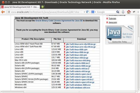 Java Download Update Seebinger