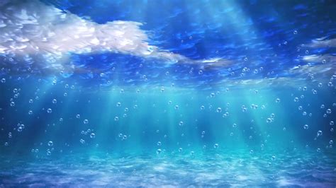 Ocean Zoom Backgrounds Okeangels