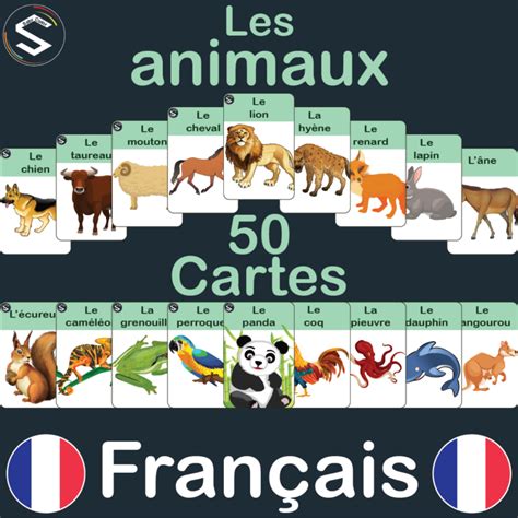 French Animals Vocabulary Flash Cards Les Animaux With 50 Names And