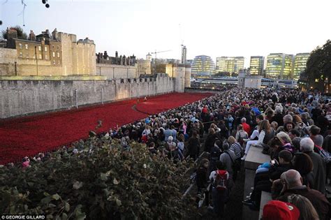 Tower Of London Moat Is Now Nearly Full Of Ceramic Poppies