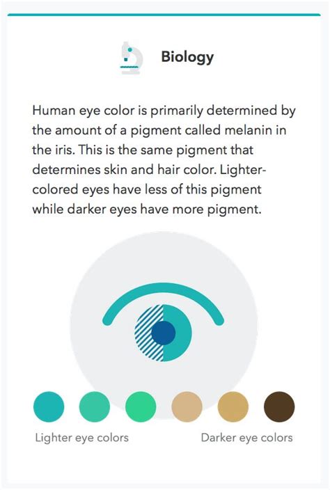 Genetic Traits Eye Color Chart A Visual Reference Of Charts Chart Master