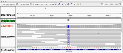 7 Variant Calling And Visualization — Archaeogenetics In Porto 001