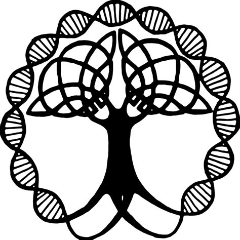 The Origins Of The Celtic Tree Of Life Connollycove